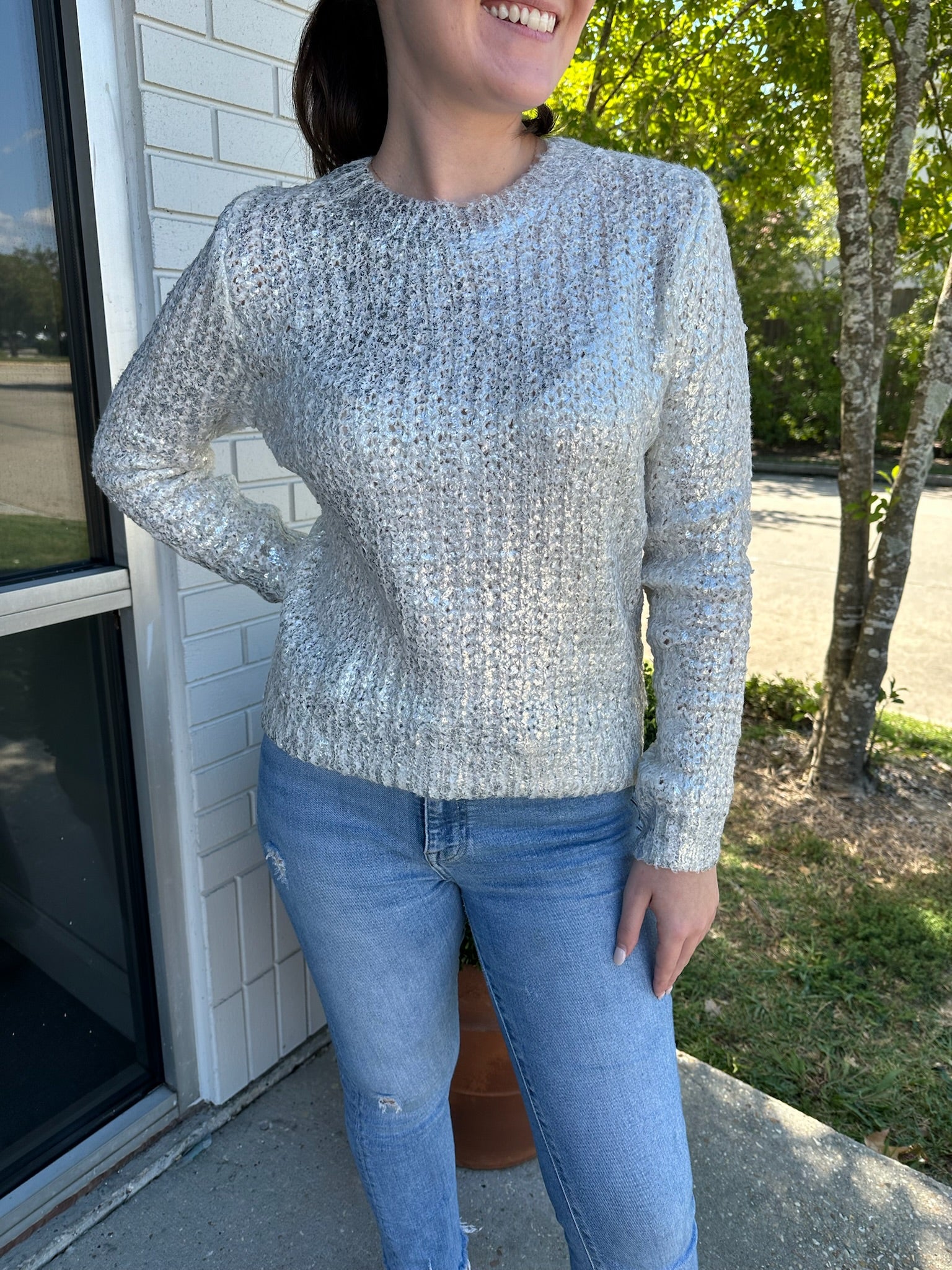 Carmine Metallic Sweater Silver